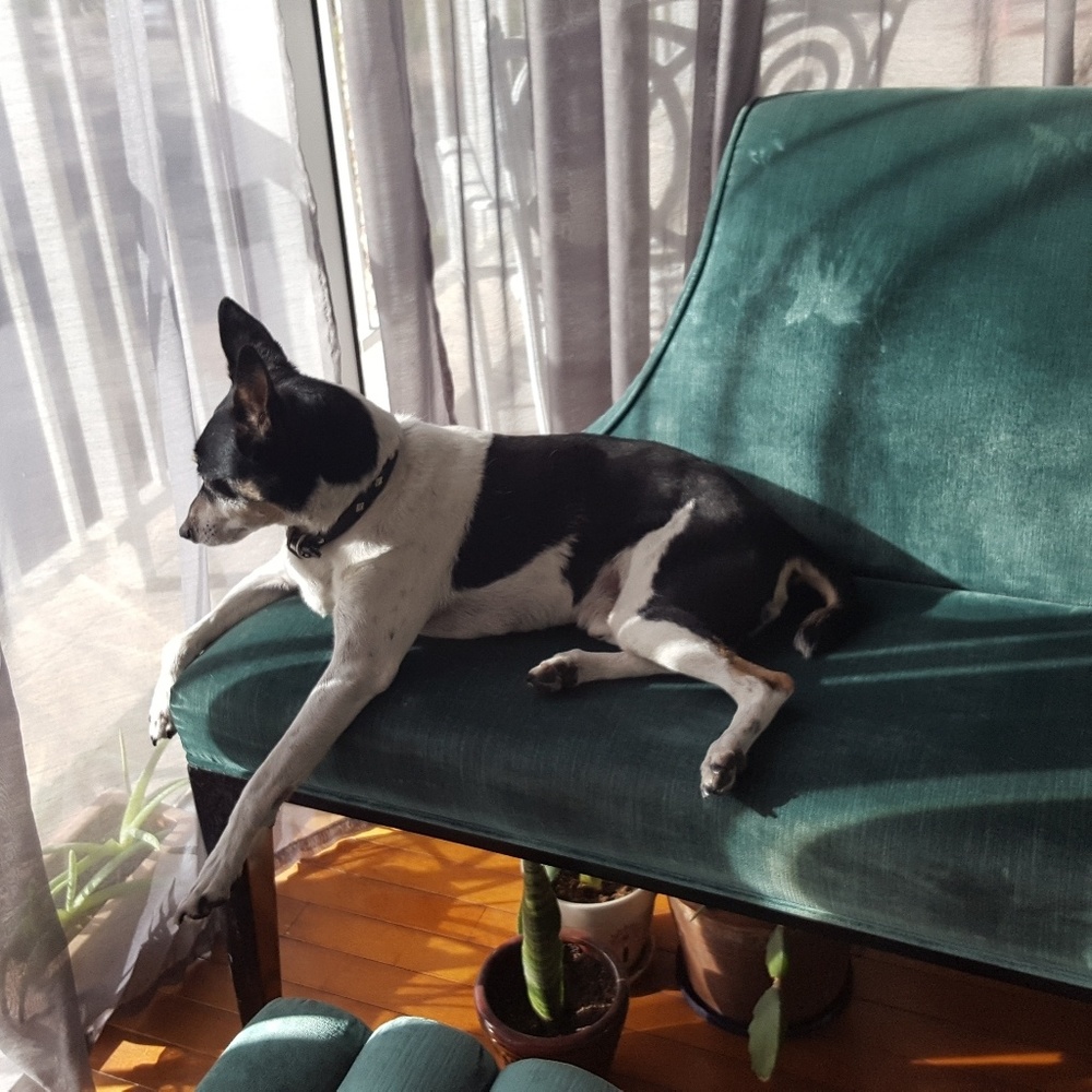 Meet your Posher, Trix